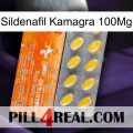 Sildenafil Kamagra 100Mg new05